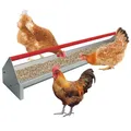 Mangeoire poulet galvanisée métal avec drainage – Couleur Rouge
