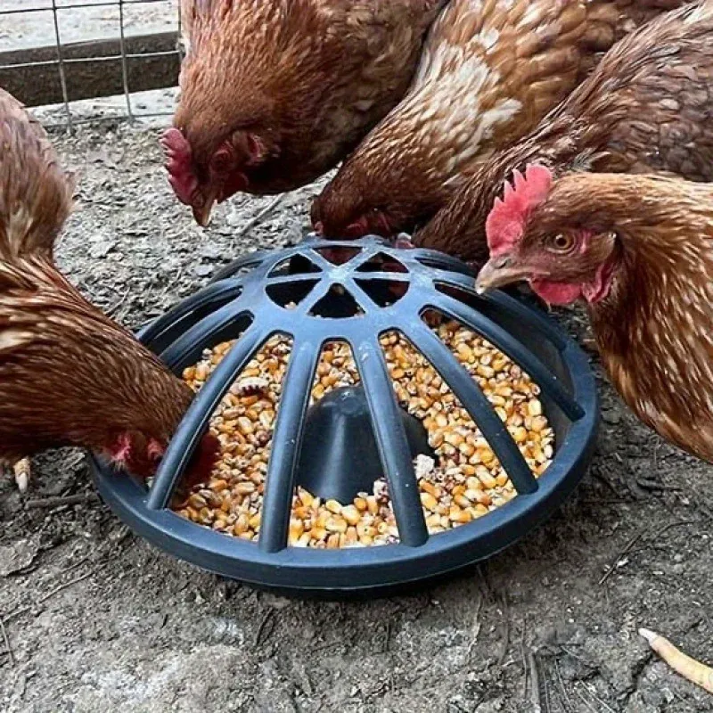 Mangeoire ronde anti-renversement pour poulets et canards