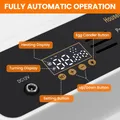 Mini incubateur 10 à 36 œufs double alimentation – 3