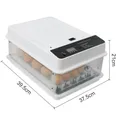 Mini incubateur 10 à 36 œufs double alimentation – Couleur 36 Eggs