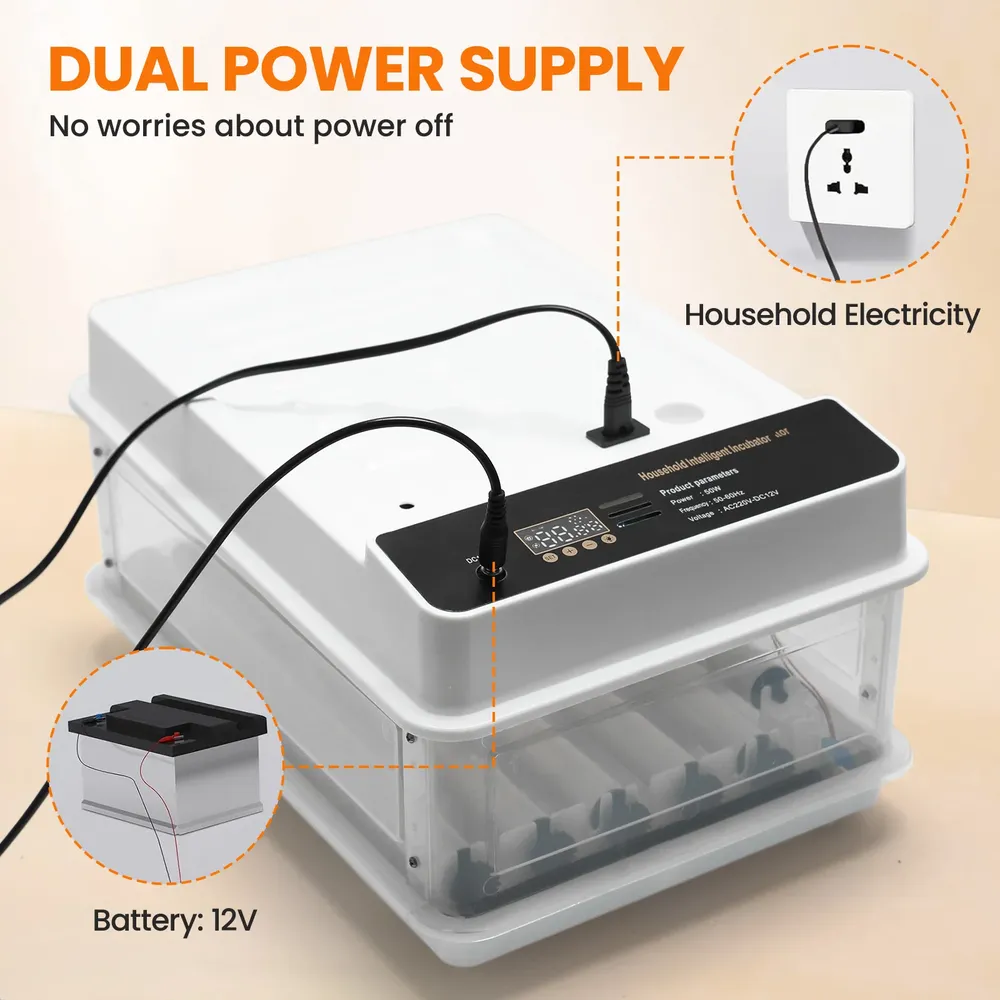 Mini incubateur 10 à 36 œufs double alimentation
