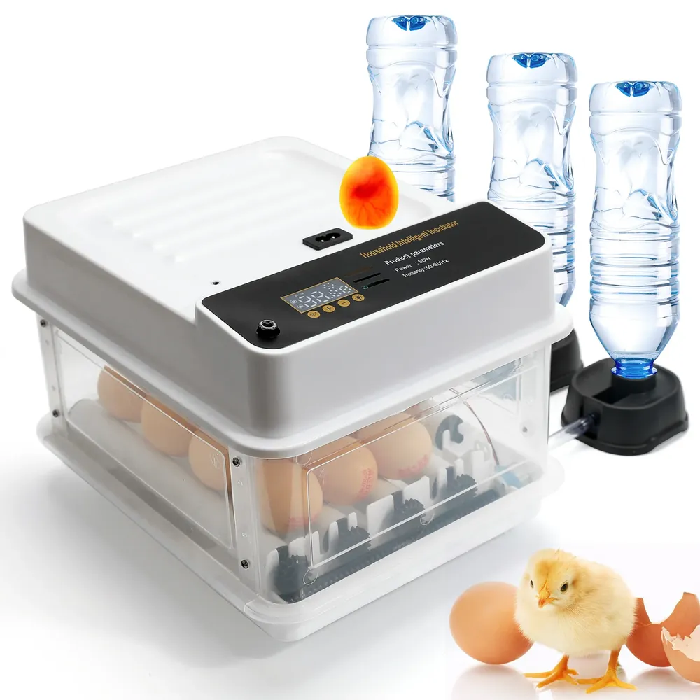 Mini incubateur 10 à 36 œufs double alimentation