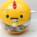 Mini incubateur œufs 5 à 10 œufs automatique écran LED – 4