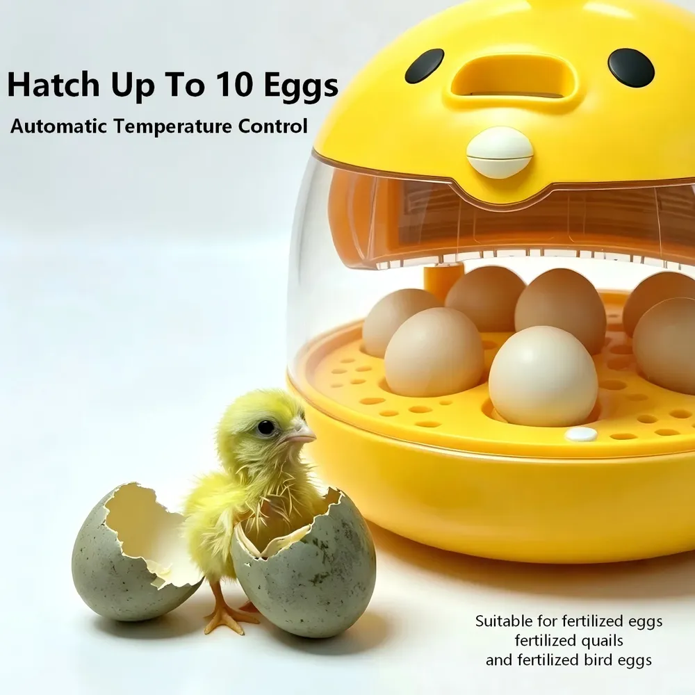 Mini incubateur œufs 5 à 10 œufs automatique écran LED