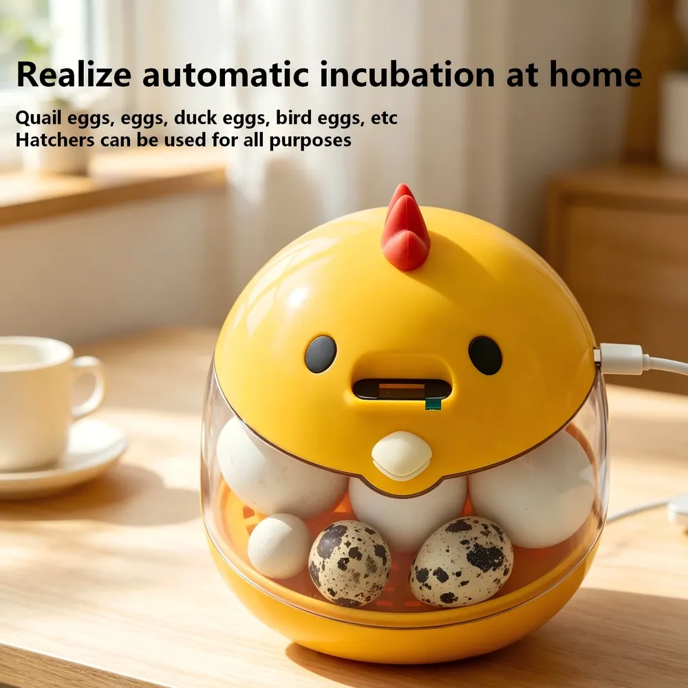 Mini incubateur œufs 5 à 10 œufs automatique écran LED