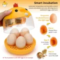 Mini incubateur œufs 5 à 10 œufs tension sécurisée 5V 2A – 4