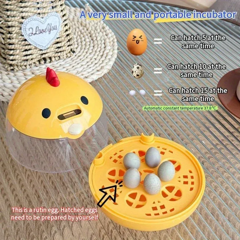 Mini incubateur œufs 5 à 10 œufs tension sécurisée 5V 2A