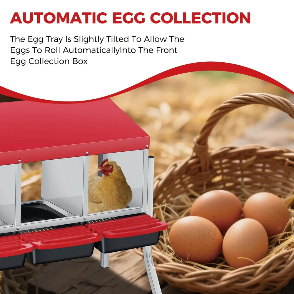 Nichoir à œufs avec collecte automatique pour poules et canards