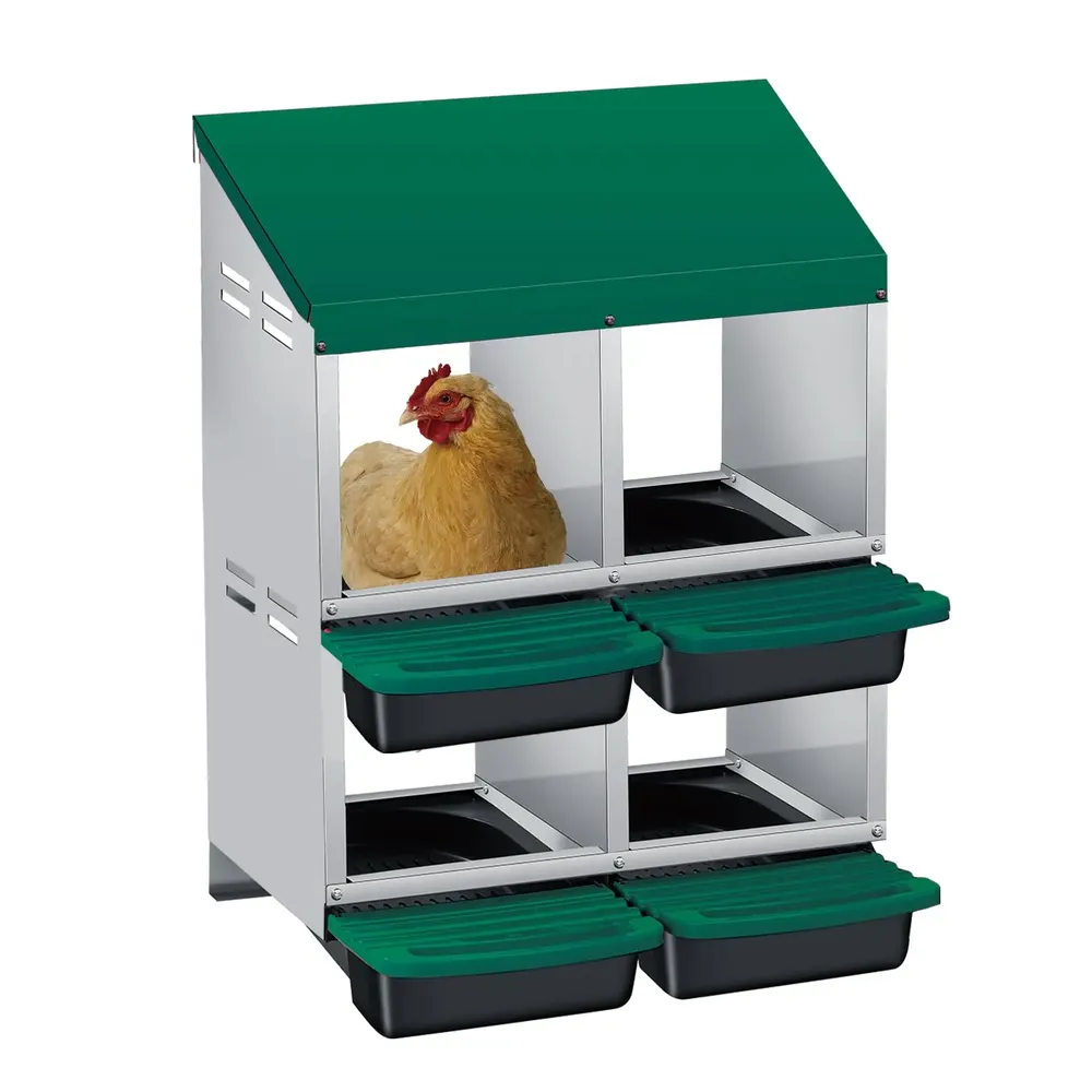 Nichoir à œufs avec collecte automatique pour poules et canards