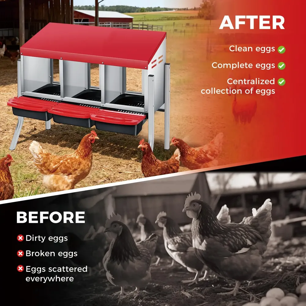 Nichoir à œufs avec collecte automatique pour poules et canards
