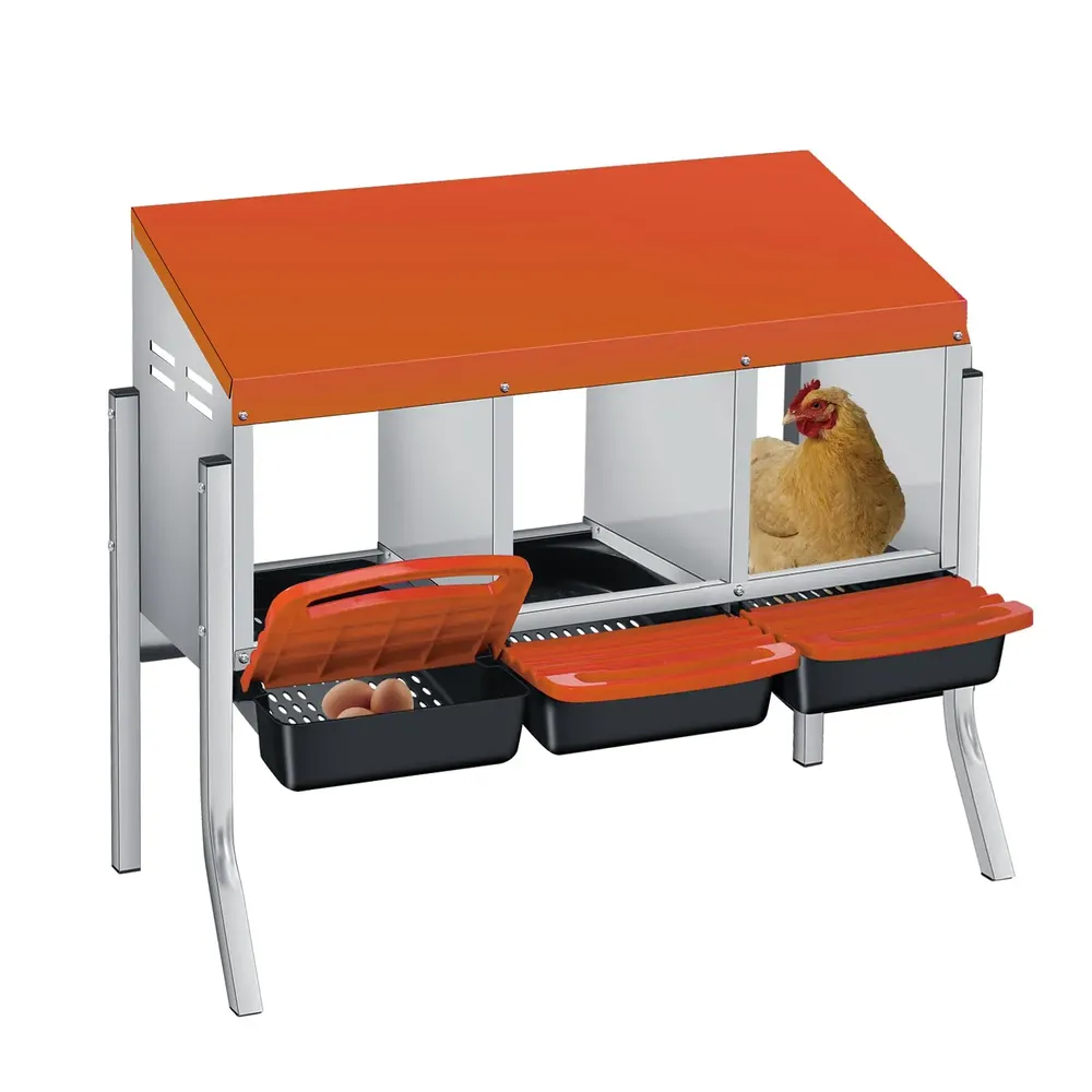 Nichoir à œufs avec collecte automatique pour poules et canards