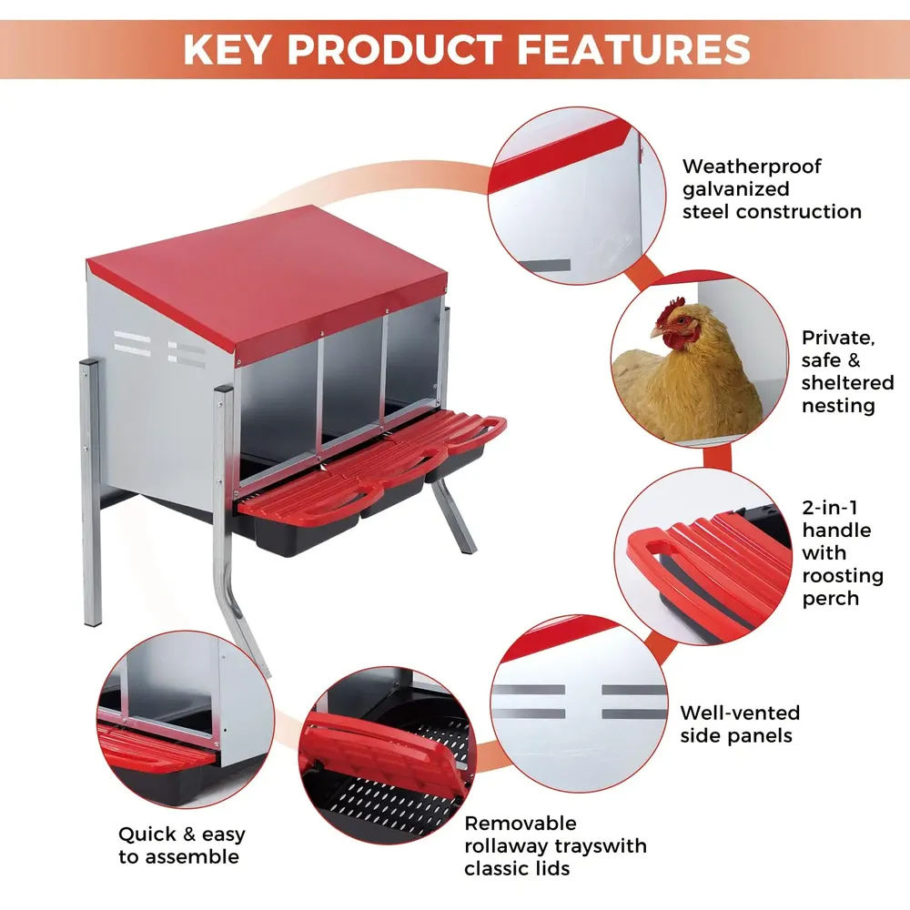 Nichoir à œufs avec collecte automatique pour poules et canards