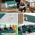 Nichoir à poules 3 compartiments métal avec collecte – 5