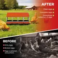 Nichoir poules acier galvanisé 4 compartiments avec plateau roulettes – 1