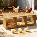 Nichoir poules bois 3 compartiments empêche œufs tomber – Couleur Carbonized Wood