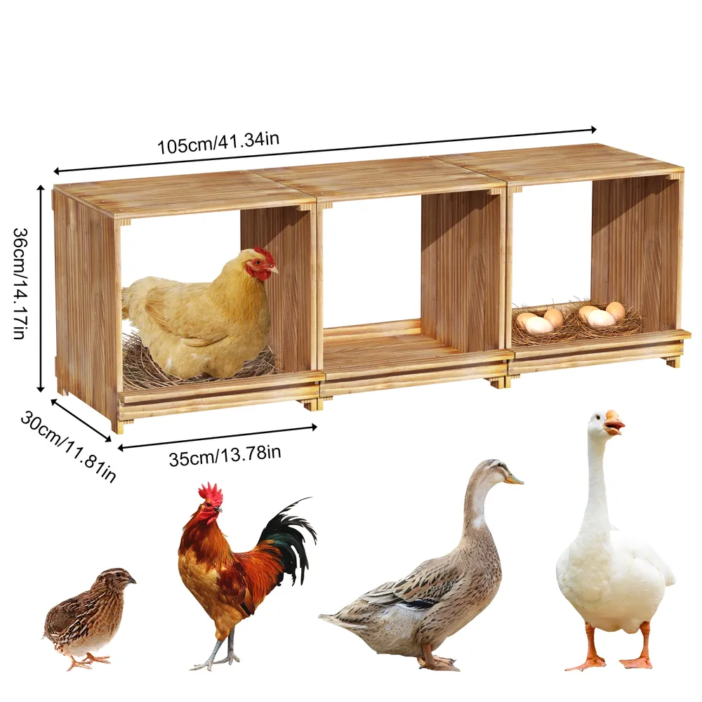 Nichoir poules bois 3 compartiments empêche œufs tomber