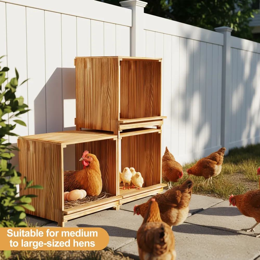 Nichoir poules bois 3 compartiments empêche œufs tomber