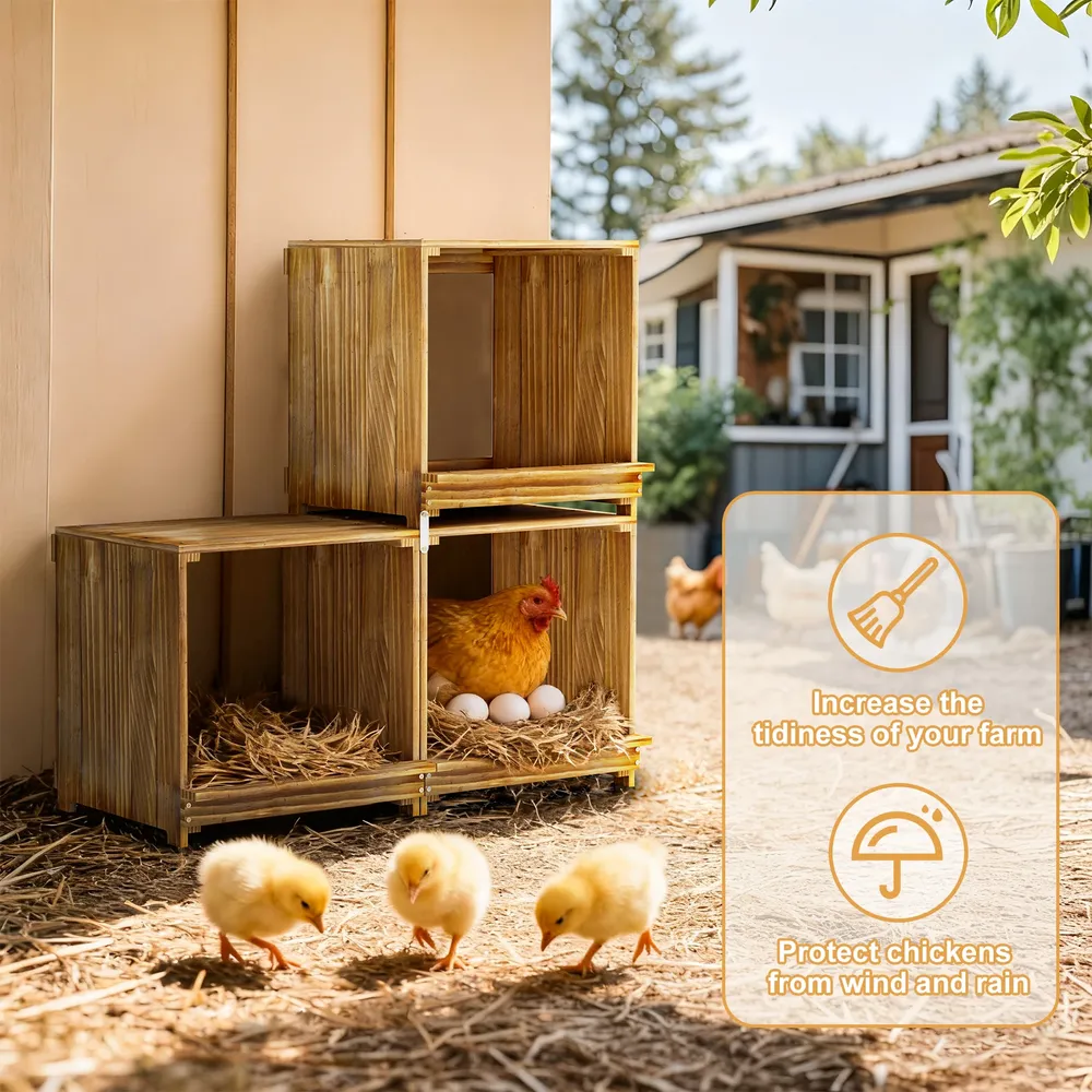 Nichoir poules bois 3 compartiments empêche œufs tomber