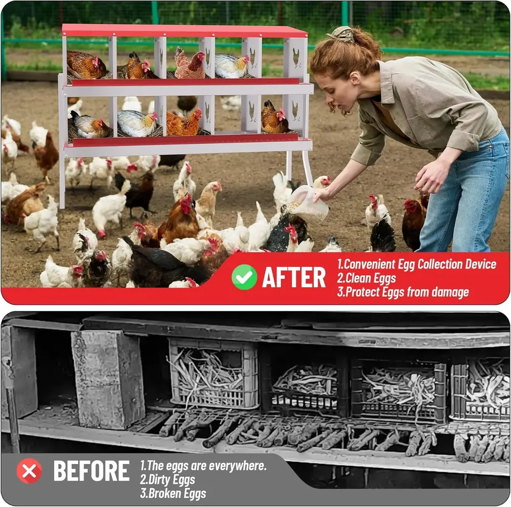 Nichoir poules métal 10 compartiments mural avec pieds