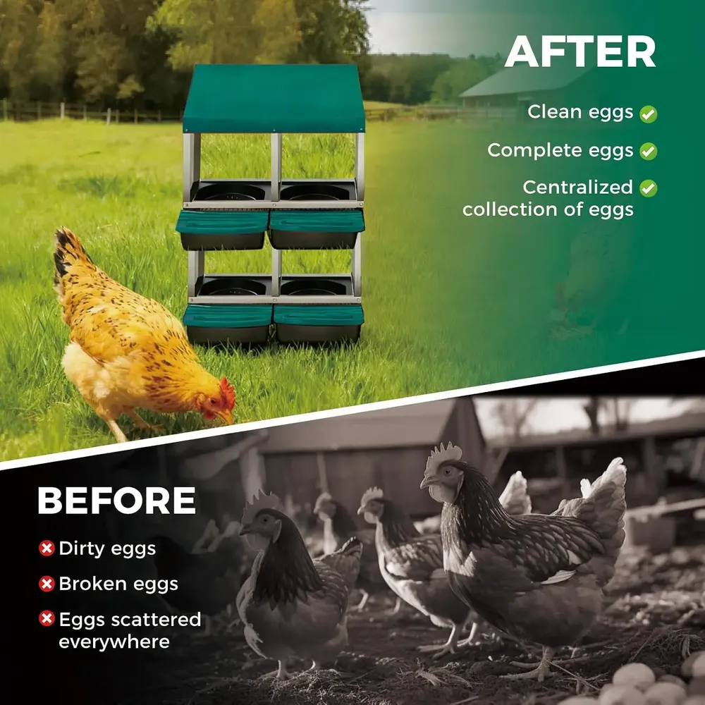 Nichoir poules métal 4 compartiments ventilé et antirouille