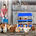 Nid à poules multi-compartiments avec collecte d'œufs – 6