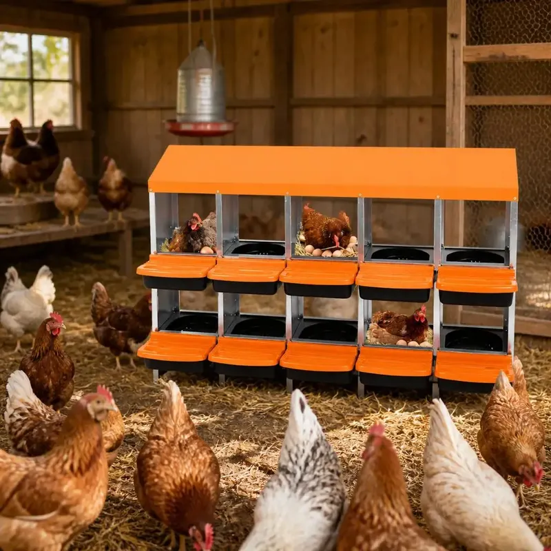 Nid à poules multi-compartiments avec collecte d'œufs