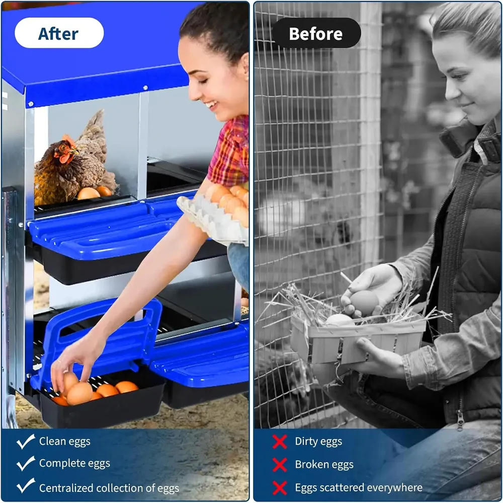 Nid à poules multi-compartiments avec collecte d'œufs