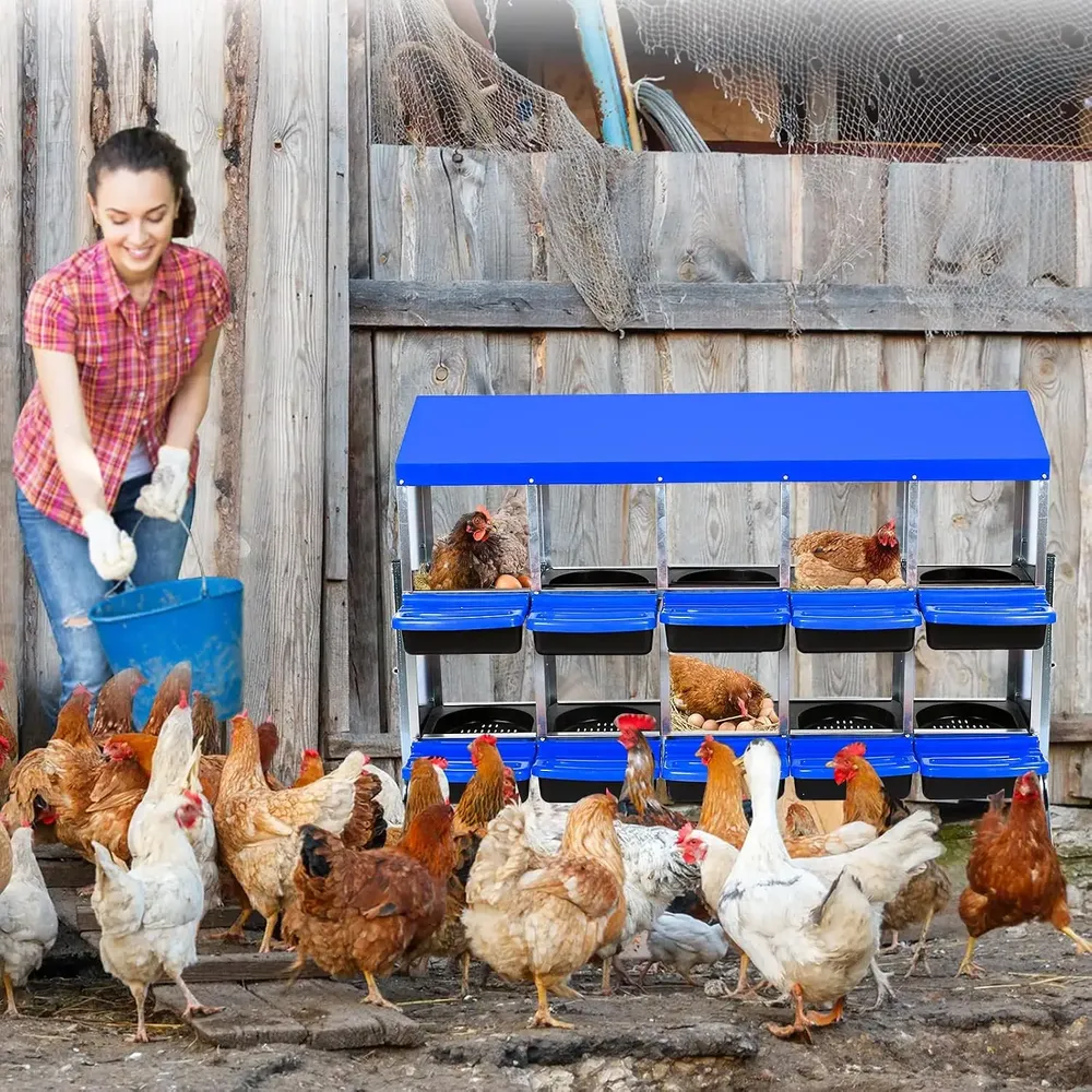 Nid à poules multi-compartiments avec collecte d'œufs