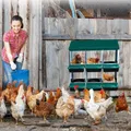 Nid d'œufs poules 6 compartiments métalliques à roulettes – 7