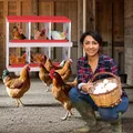 Nid d'œufs poules métal 2 niveaux avec plateau de collecte amovible – 4