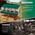 Nid de ponte poules métal pliable 4 compartiments avec pieds – 2