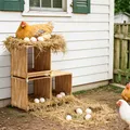 Nid de poule en bois à 3 compartiments pour ponte – 3