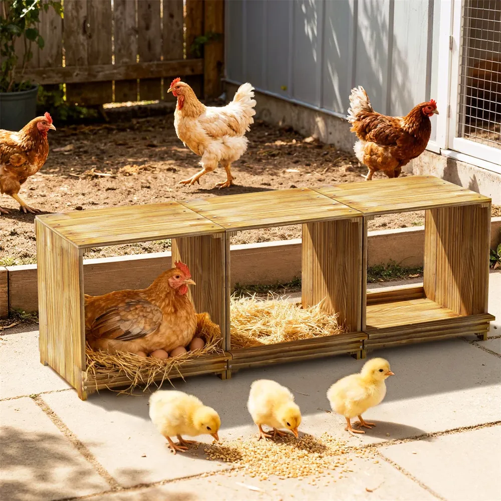 Nid de poule en bois à 3 compartiments pour ponte