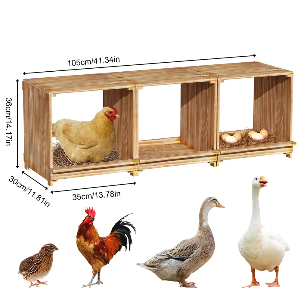 Nid de poule en bois à 3 compartiments pour ponte