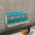 Nid de poules 4 compartiments avec collecteur d'œufs – 1