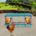 Nid de poules 4 compartiments avec collecteur d'œufs – 2