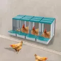 Nid de poules 4 compartiments avec collecteur d'œufs – 4