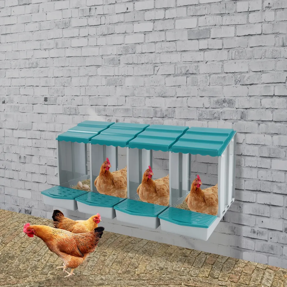 Nid de poules 4 compartiments avec collecteur d'œufs