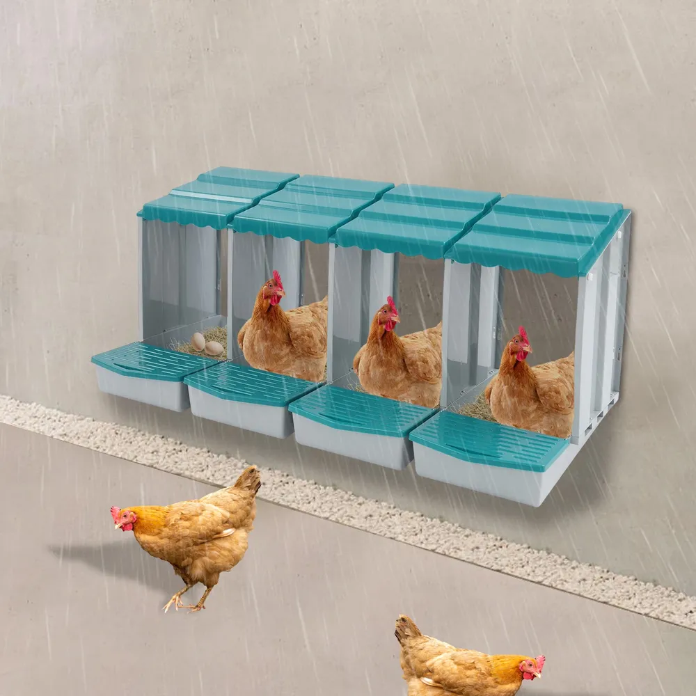 Nid de poules 4 compartiments avec collecteur d'œufs