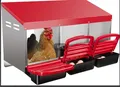 Nid poule métal 3 trous avec plateau de collecte des œufs – Couleur red