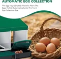 Nid poule métal 4 trous avec bac de ramassage facile – 4