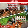 Nid poules 6 à 10 compartiments avec perchoir et couvercle – 4