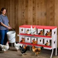Nid poules 6 à 10 compartiments avec perchoir et couvercle – 5