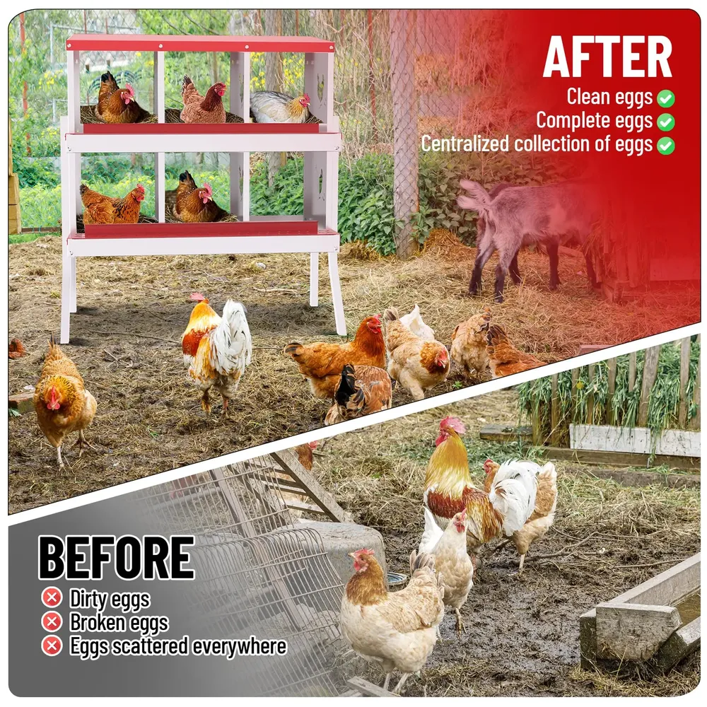 Nid poules 6 à 10 compartiments avec perchoir et couvercle