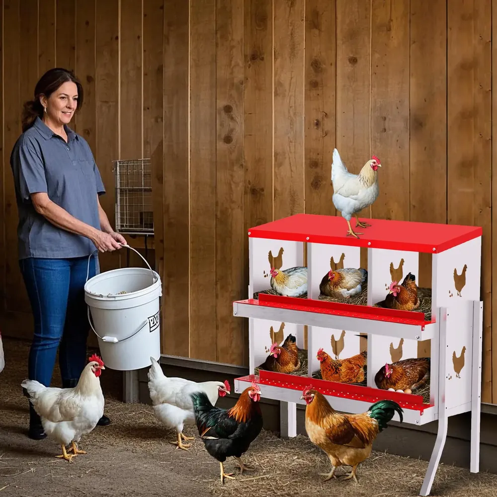 Nid poules 6 à 10 compartiments avec perchoir et couvercle