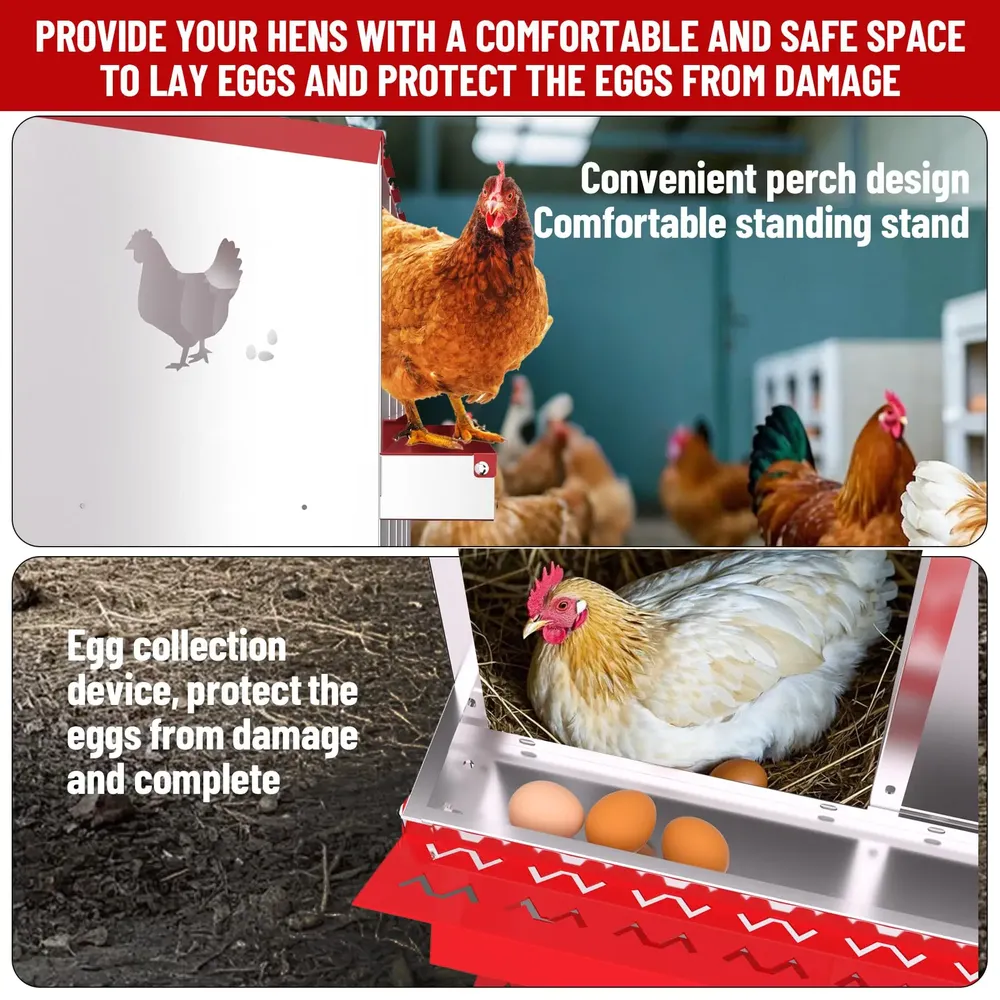 Nid poules 6 à 10 compartiments avec perchoir et couvercle