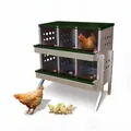 Nid poules acier galvanisé 6 compartiments avec collecte œufs – 2