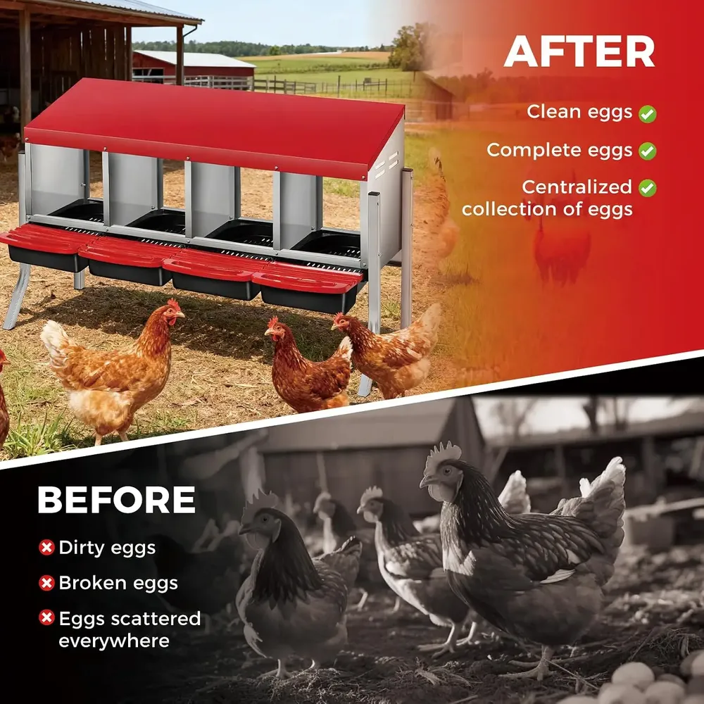 Nid poules automatique 4 compartiments avec collecte œufs
