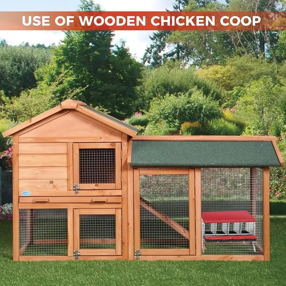 Nid poules automatique 4 compartiments avec collecte œufs