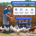 Nidées poules 6 à 10 compartiments murales ou sur pied – 4